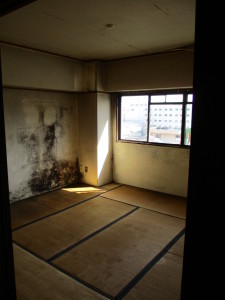 2020.03.21　巽 (33)